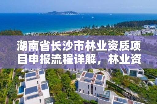 湖南省长沙市林业资质项目申报流程详解，林业资质申请