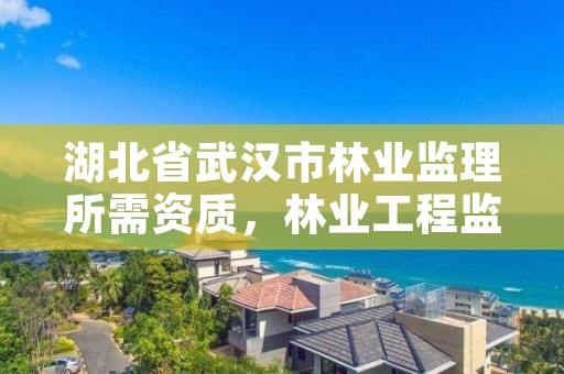 湖北省武汉市林业监理所需资质，林业工程监理公司需要啥证