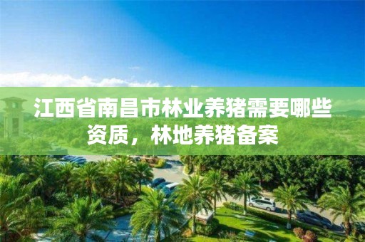 江西省南昌市林业养猪需要哪些资质,林地养猪备案