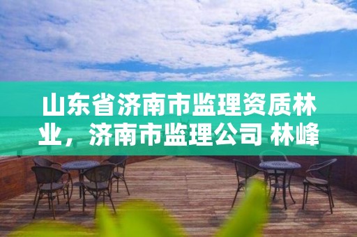 山东省济南市监理资质林业,济南市监理公司 林峰
