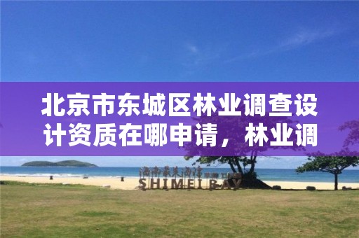 北京市东城区林业调查设计资质在哪申请,林业调查规划设计资质查询