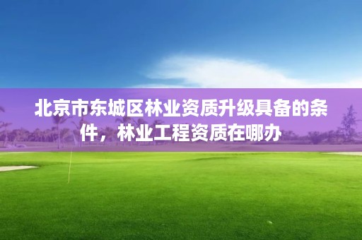 北京市东城区林业资质升级具备的条件，林业工程资质在哪办