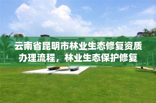 云南省昆明市林业生态修复资质办理流程,林业生态保护修复