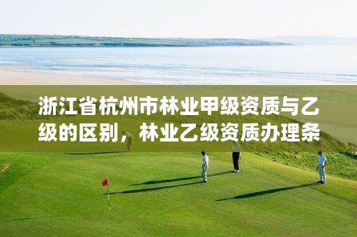浙江省杭州市林业甲级资质与乙级的区别，林业乙级资质办理条件