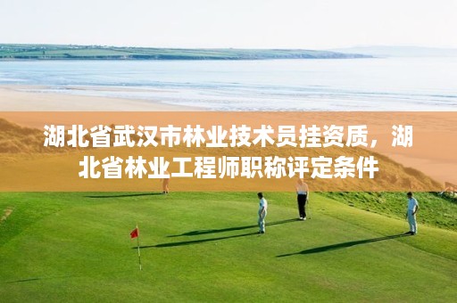 湖北省武汉市林业技术员挂资质，湖北省林业工程师职称评定条件