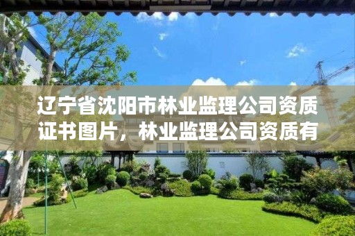 辽宁省沈阳市林业监理公司资质证书图片,林业监理公司资质有哪些