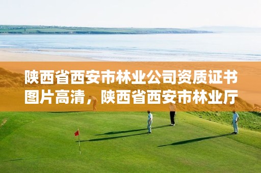陕西省西安市林业公司资质证书图片高清,陕西省西安市林业厅