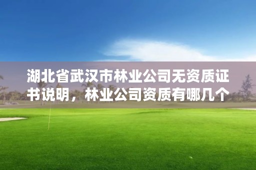 湖北省武汉市林业公司无资质证书说明,林业公司资质有哪几个