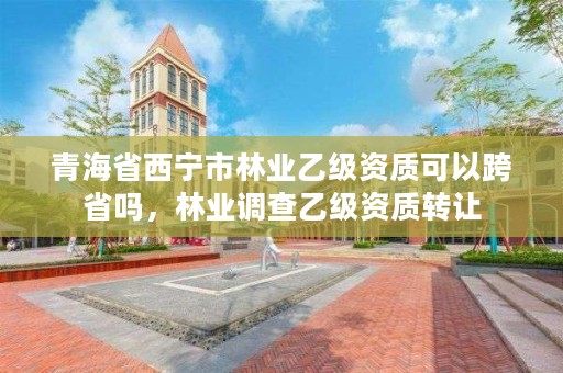 青海省西宁市林业乙级资质可以跨省吗,林业调查乙级资质转让