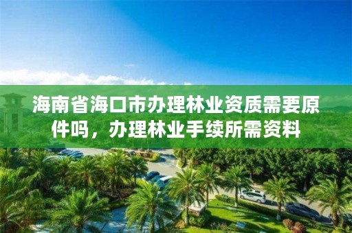 海南省海口市办理林业资质需要原件吗,办理林业手续所需资料