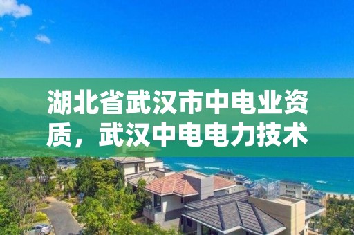 湖北省武汉市中电业资质，武汉中电电力技术股份有限公司简介