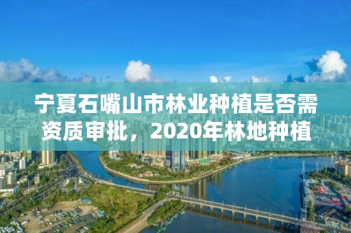 宁夏石嘴山市林业种植是否需资质审批,2020年林地种植需要办理手续