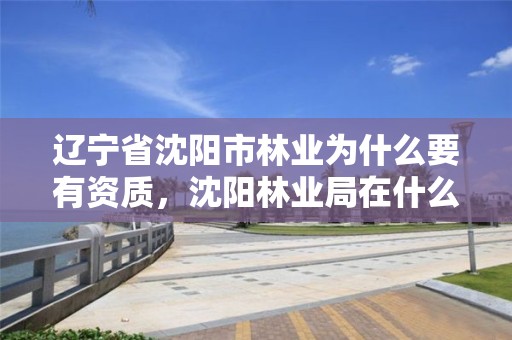 辽宁省沈阳市林业为什么要有资质,沈阳林业局在什么地方