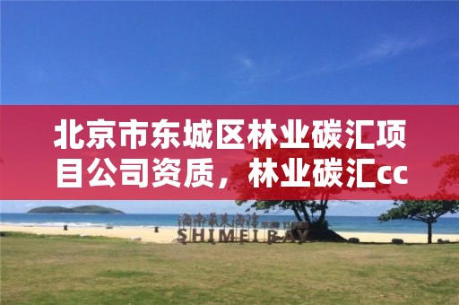 北京市东城区林业碳汇项目公司资质,林业碳汇ccer项目