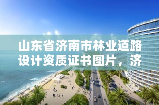 山东省济南市林业道路设计资质证书图片，济南林业厅