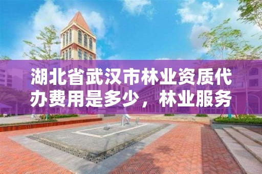 湖北省武汉市林业资质代办费用是多少，林业服务公司资质