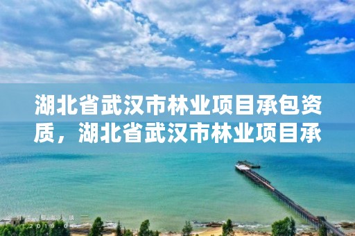 湖北省武汉市林业项目承包资质，湖北省武汉市林业项目承包资质有哪些