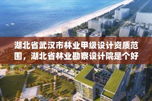 湖北省武汉市林业甲级设计资质范围,湖北省林业勘察设计院是个好单位吗
