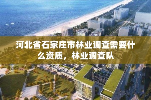 河北省石家庄市林业调查需要什么资质，林业调查队