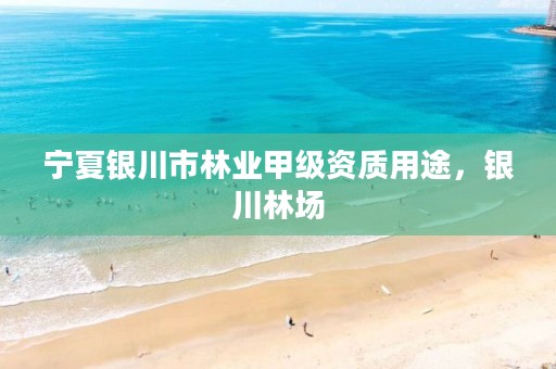 宁夏银川市林业甲级资质用途,银川林场