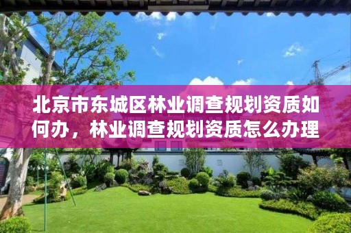 北京市东城区林业调查规划资质如何办，林业调查规划资质怎么办理