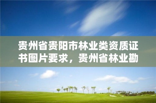 贵州省贵阳市林业类资质证书图片要求，贵州省林业勘察设计有限公司