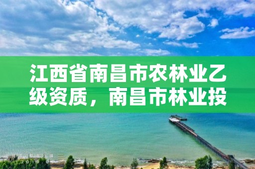 江西省南昌市农林业乙级资质,南昌市林业投资发展有限公司