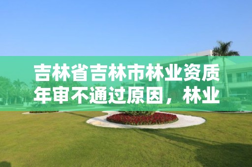 吉林省吉林市林业资质年审不通过原因,林业验收资质