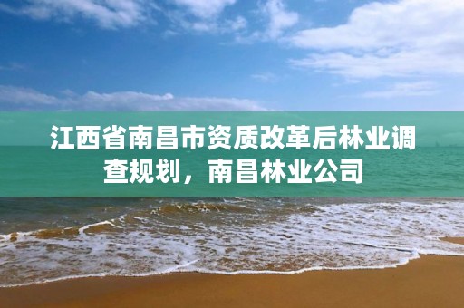 江西省南昌市资质改革后林业调查规划,南昌林业公司