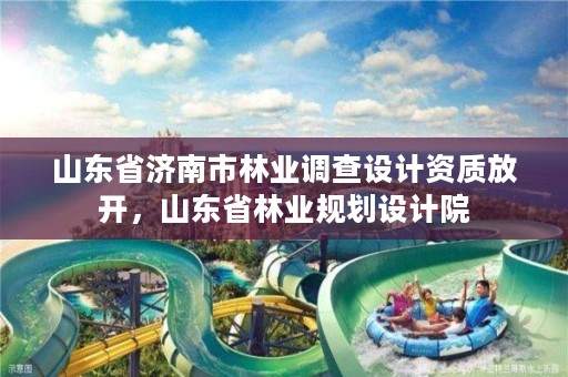 山东省济南市林业调查设计资质放开,山东省林业规划设计院