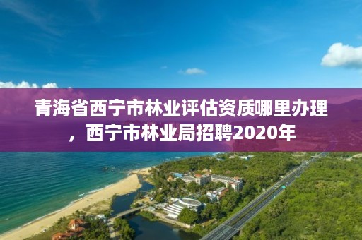 青海省西宁市林业评估资质哪里办理,西宁市林业局招聘2020年