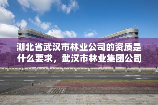 湖北省武汉市林业公司的资质是什么要求，武汉市林业集团公司官网
