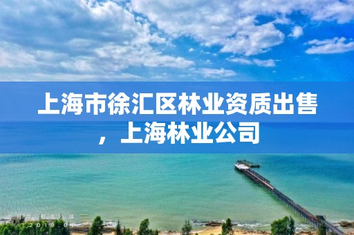 上海市徐汇区林业资质出售,上海林业公司