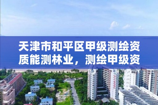 天津市和平区甲级测绘资质能测林业,测绘甲级资质申请条件
