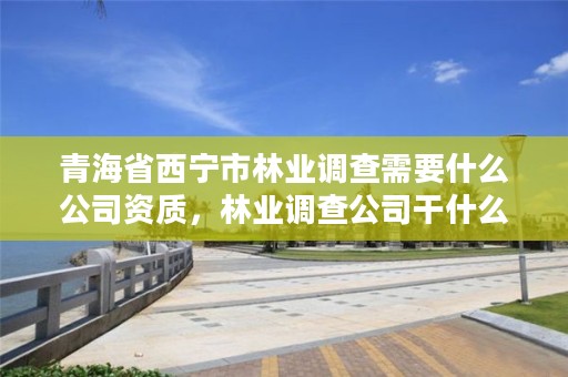青海省西宁市林业调查需要什么公司资质，林业调查公司干什么的