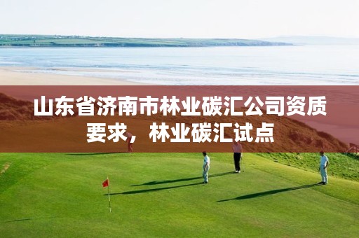 山东省济南市林业碳汇公司资质要求,林业碳汇试点