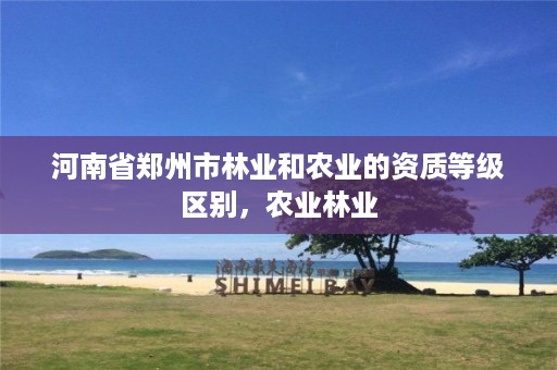 河南省郑州市林业和农业的资质等级区别,农业林业