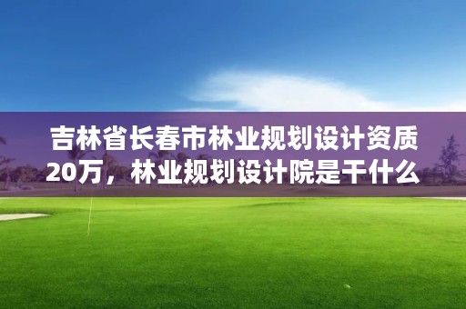 吉林省长春市林业规划设计资质20万,林业规划设计院是干什么的