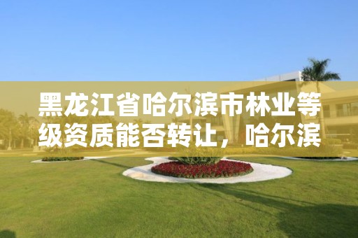 黑龙江省哈尔滨市林业等级资质能否转让,哈尔滨附近的林业局