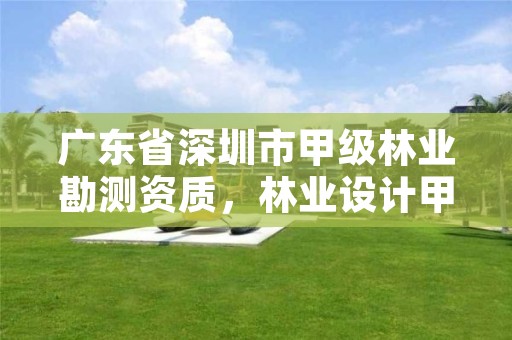 广东省深圳市甲级林业勘测资质，林业设计甲级资质