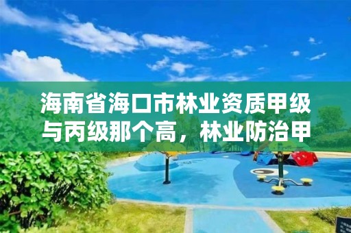 海南省海口市林业资质甲级与丙级那个高,林业防治甲级资质证书