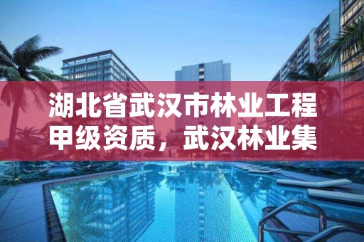 湖北省武汉市林业工程甲级资质,武汉林业集团是国企吗