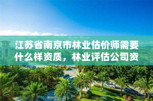 江苏省南京市林业估价师需要什么样资质,林业评估公司资质
