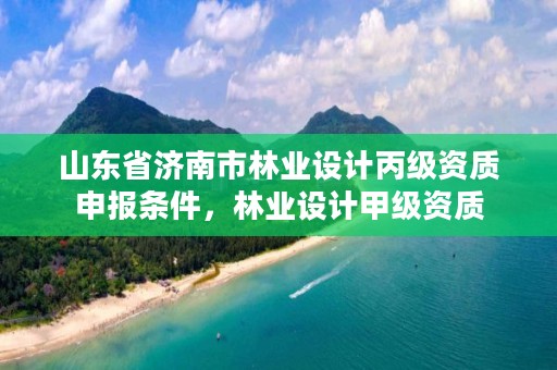 山东省济南市林业设计丙级资质申报条件,林业设计甲级资质