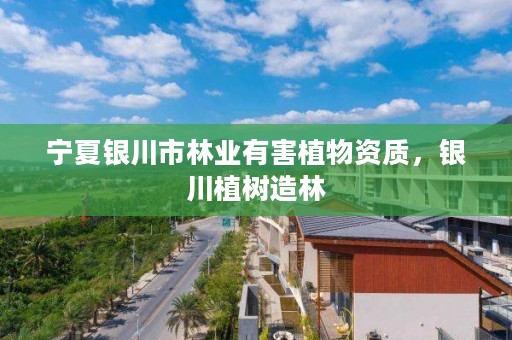 宁夏银川市林业有害植物资质,银川植树造林