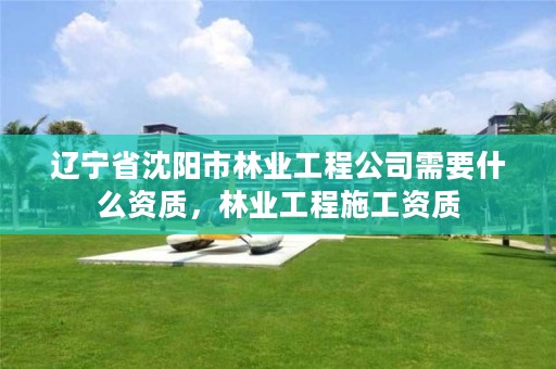 辽宁省沈阳市林业工程公司需要什么资质,林业工程施工资质