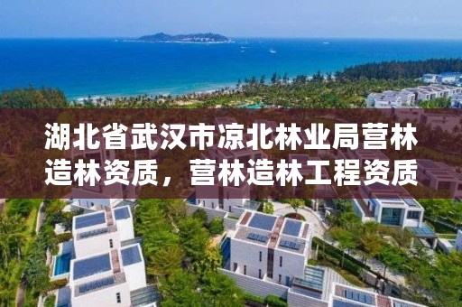 湖北省武汉市凉北林业局营林造林资质,营林造林工程资质