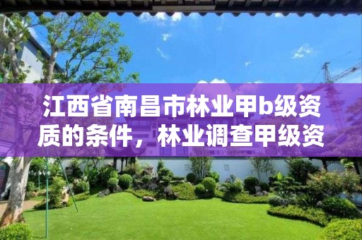 江西省南昌市林业甲b级资质的条件,林业调查甲级资质