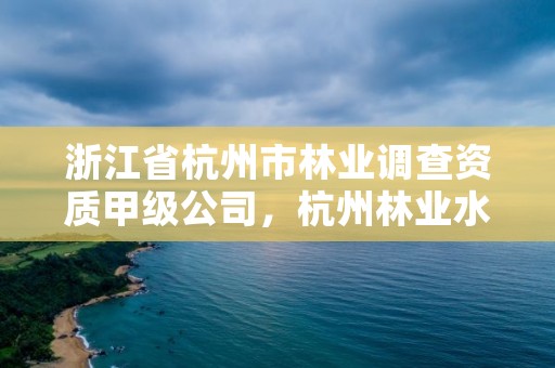 浙江省杭州市林业调查资质甲级公司，杭州林业水利投资有限公司