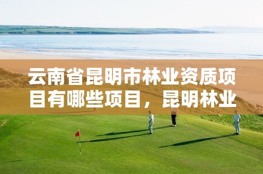 云南省昆明市林业资质项目有哪些项目,昆明林业局官网